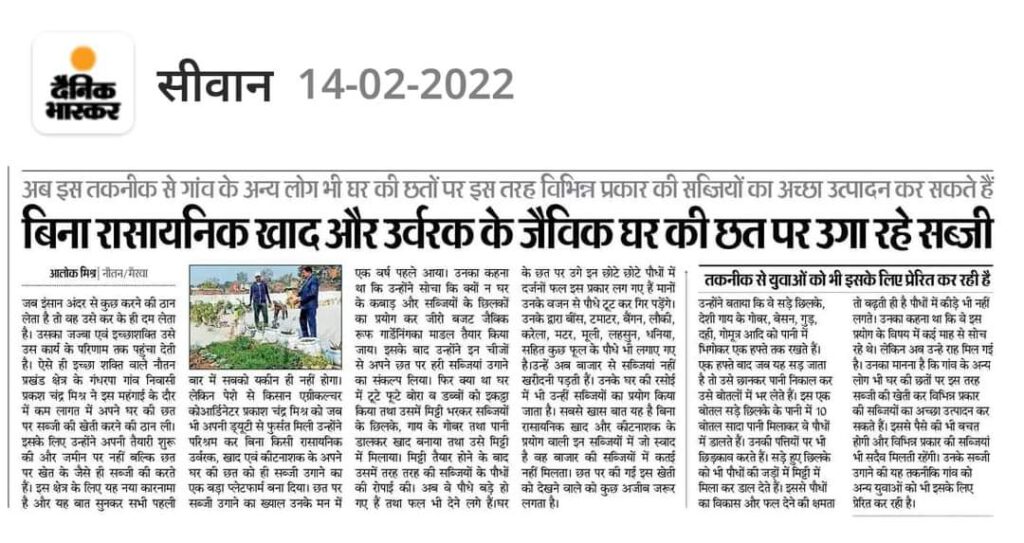 बिना रासायनिक खाद और उर्वरक के जैविक खेती, घर के छत पे